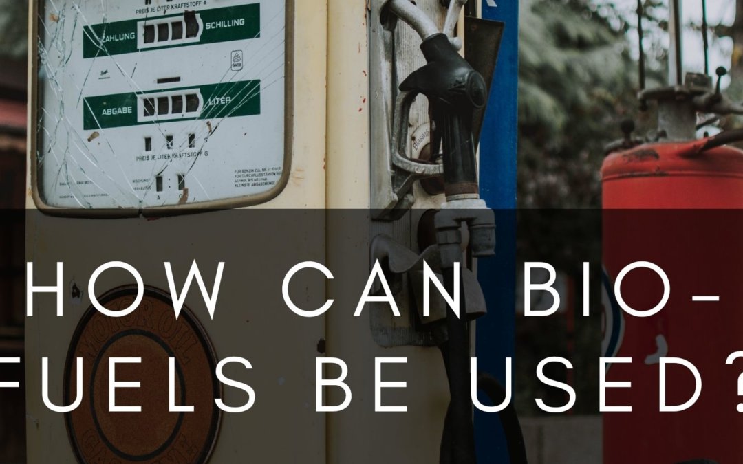 How Can Bio-Fuels be Used?