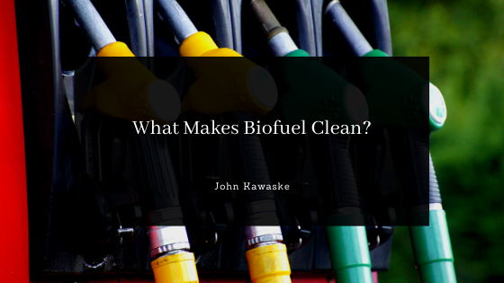 What Makes Biofuel Clean?