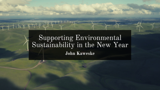 Supporting Environmental Sustainability in the New Year