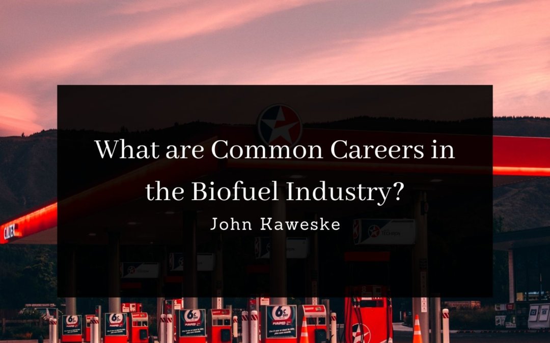 What Are Common Careers In The Biofuel Industry